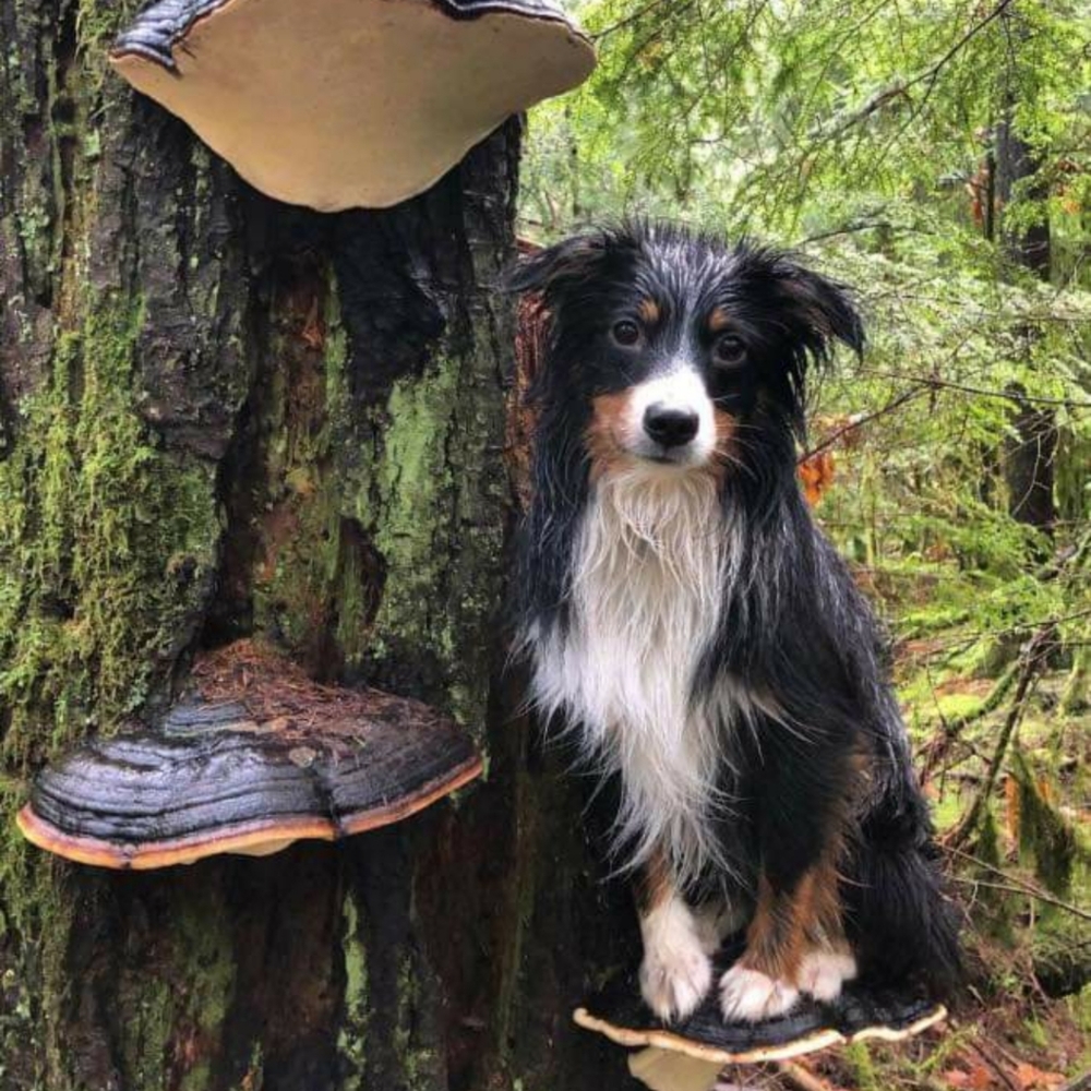 2/$15 Deals 🔥🔥🔥